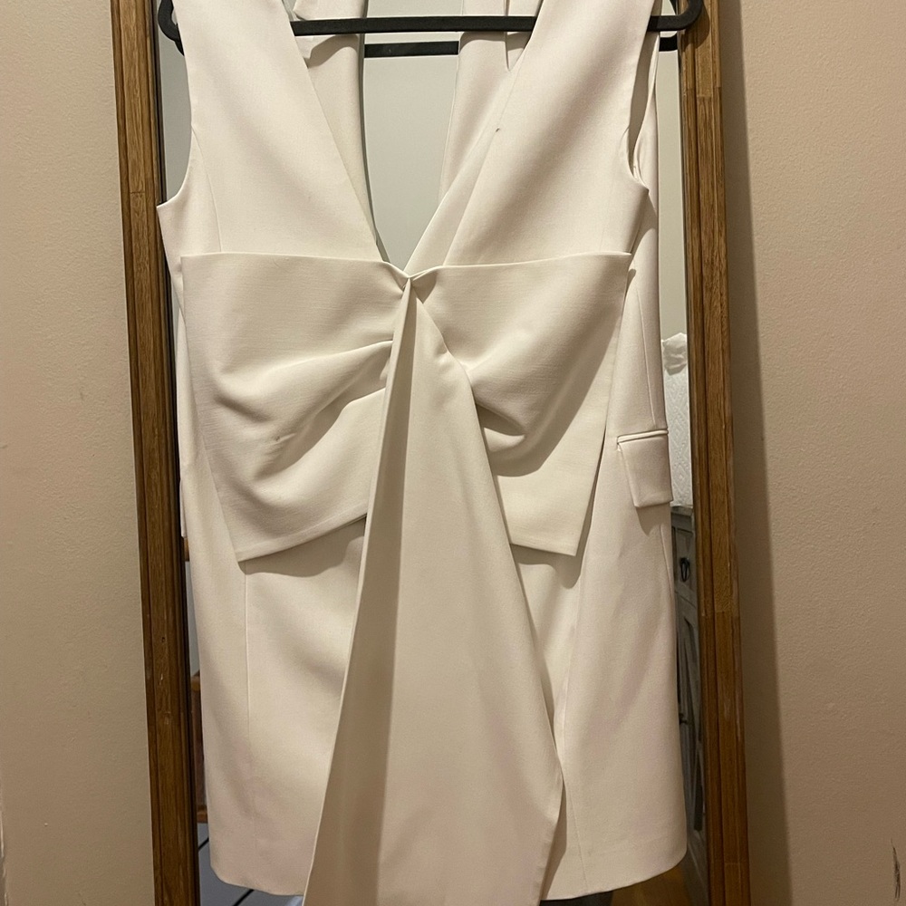 White Zara button dress.
